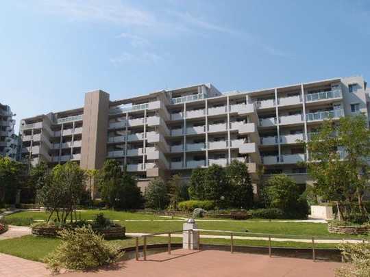 Local appearance photo. Apartment appearance from the courtyard