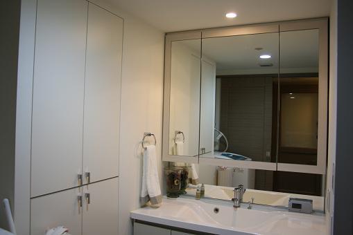 Other introspection. Vanity triple mirror housing
