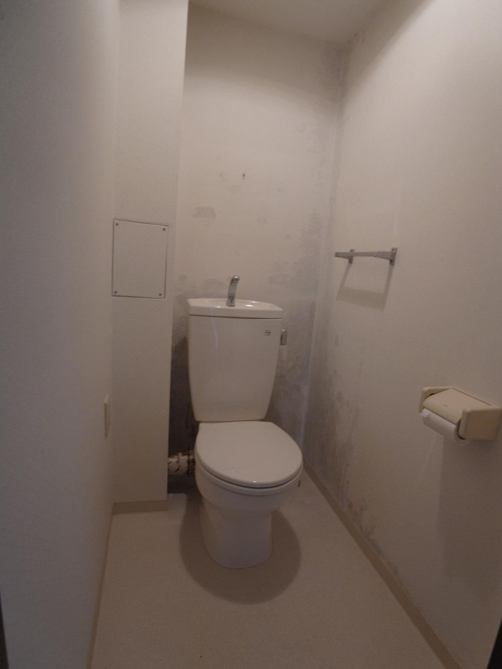 Toilet. Indoor (September 2013) Shooting