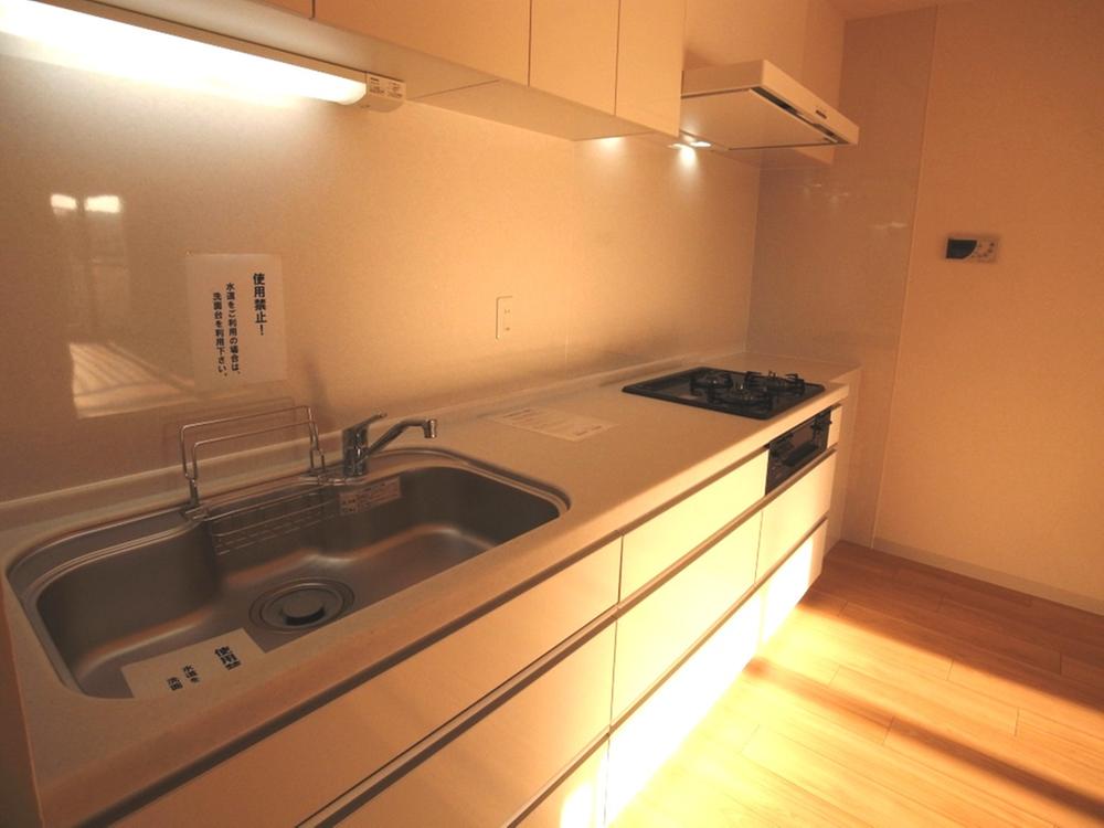 Kitchen. Indoor (12 May 2013) Shooting