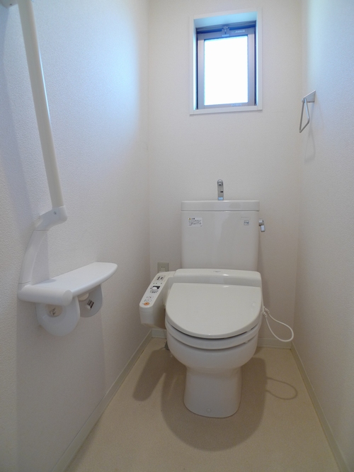 Toilet. With cleaning function