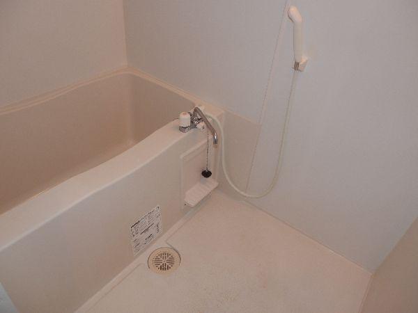 Bath. Spacious bathtub with a bathroom dryer