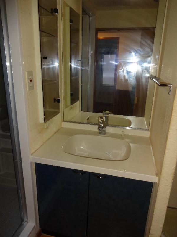 Wash basin, toilet. Vanity of large single mirror