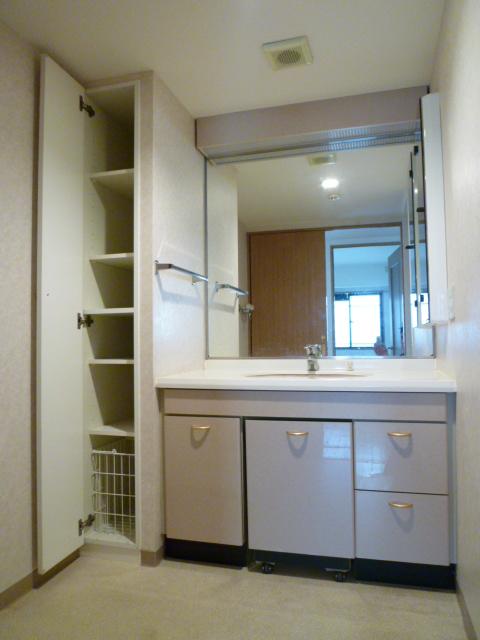 Wash basin, toilet. Vanity with a large mirror with