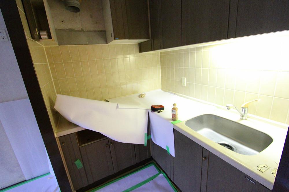 Kitchen. Indoor (11 May 2013) Shooting