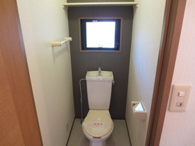 Toilet. Toilet with a window