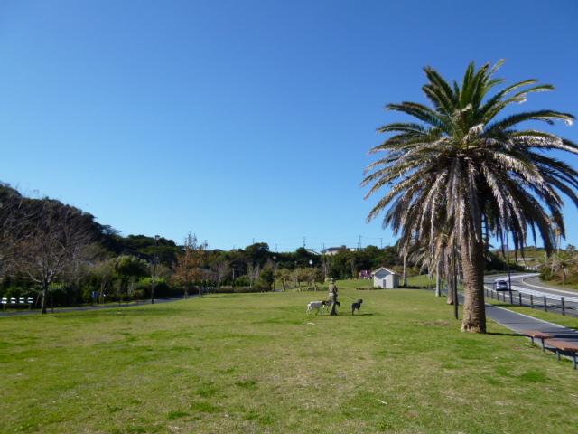 park. 400m is a beautiful very large park of grass up to the hill park of Sajima. Come for a walk. 