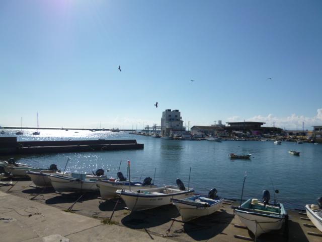 Streets around. Lovers 1000m fishing until Sajima Port, It is a fun location.