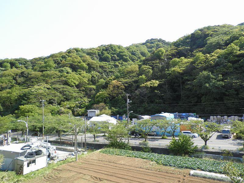 Other. View from the second floor.