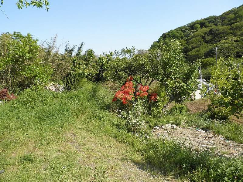 Balcony. The south side of the site. Even as the field or in the garden