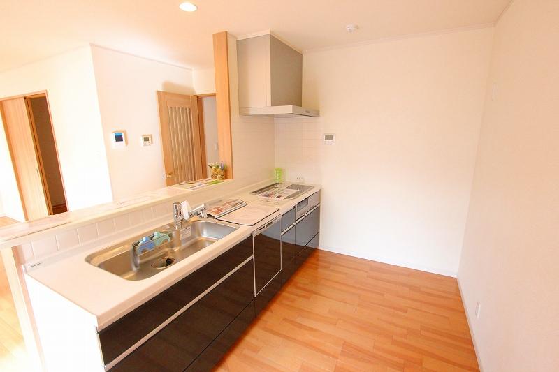 Kitchen. Indoor (12 May 2013) Shooting