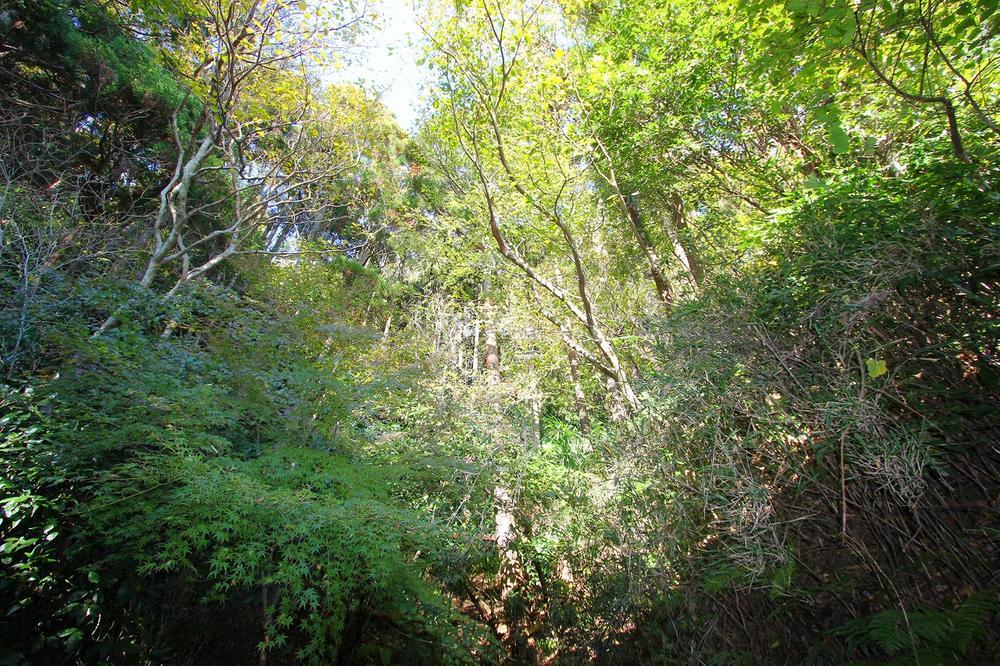 Other. Living environment surrounded by greenery