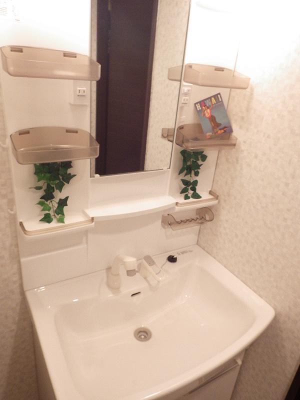 Wash basin, toilet. With a convenient hand shower vanity