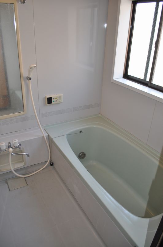 Bath. Spacious bright bathroom