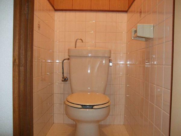 Toilet. Cleaning Ease tiled