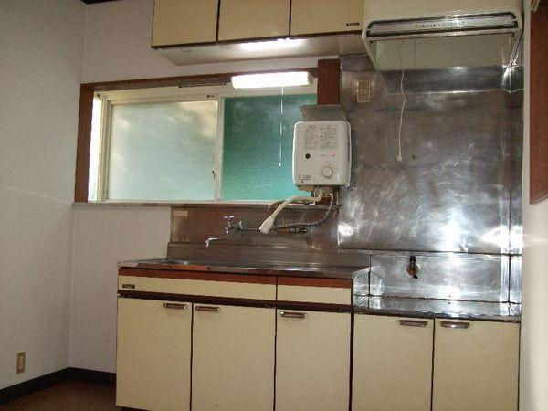 Kitchen. Large kitchen sink