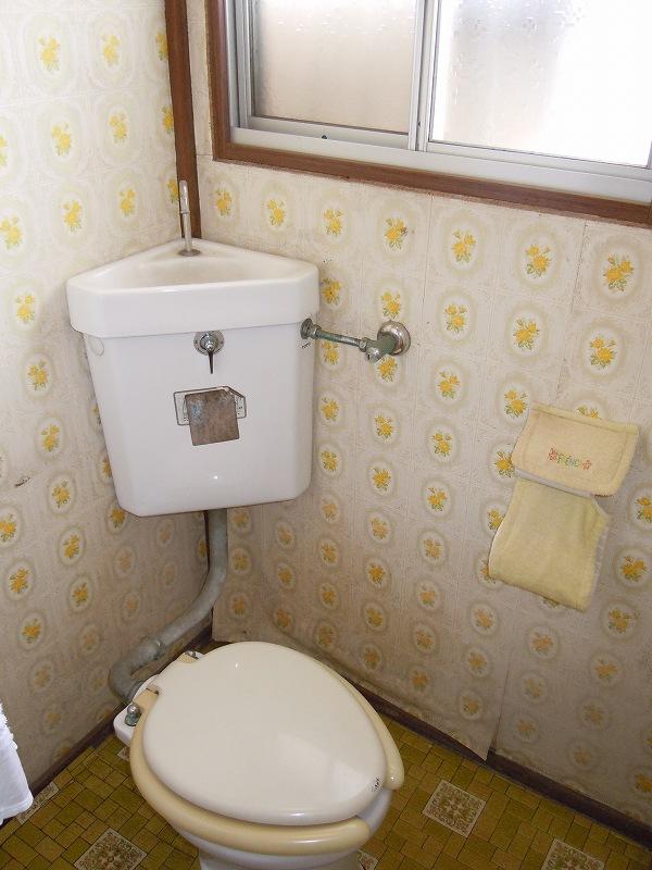 Toilet. Daytime electrical unnecessary positions bright toilet