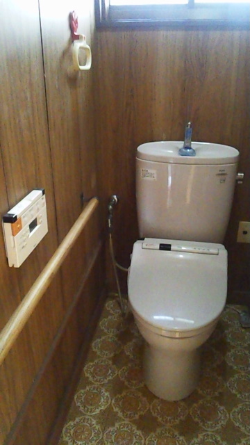 Toilet. Hot water cleaning function toilet