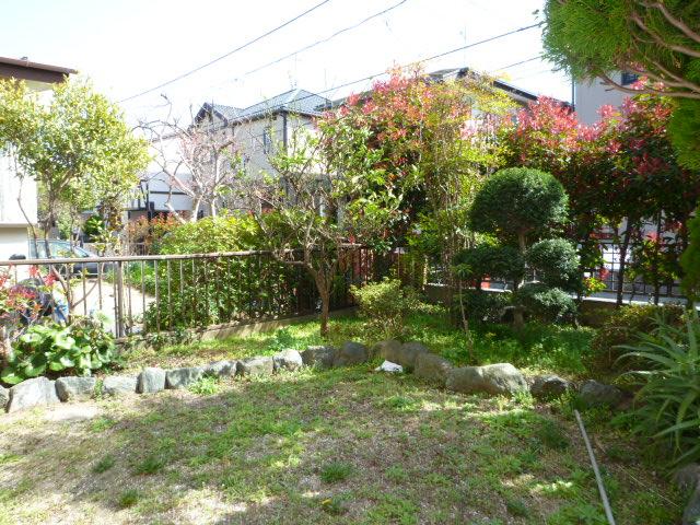 Garden. Since it is a bright garden, It grows well even plant