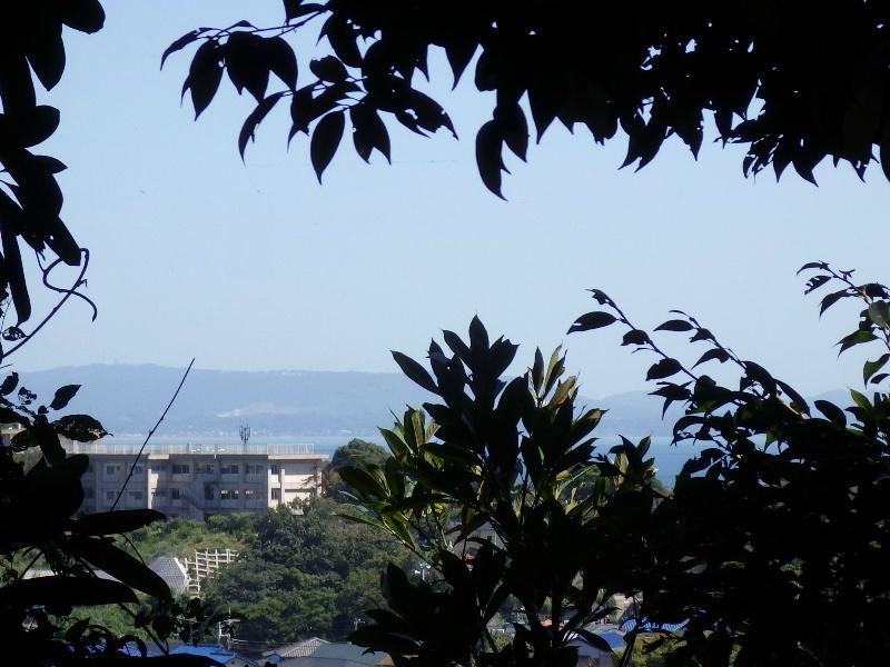 View photos from the local. You can distant view of the Tokyo Bay and Boso Peninsula