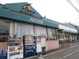 Supermarket. 630m to A Co-op Takeyama store (Super)