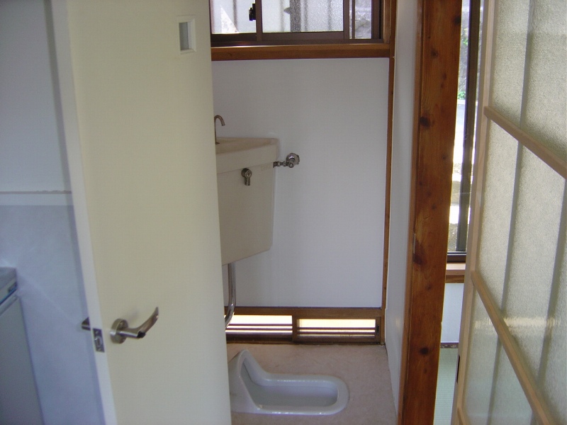 Other. Window is attached to the toilet.