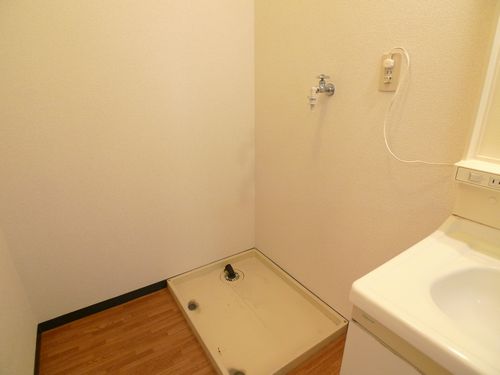Washroom. Washing machine Storage