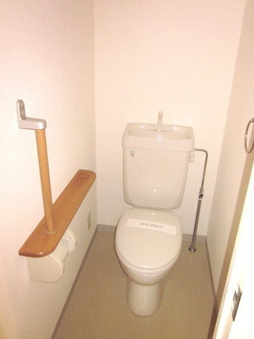 Toilet. Barrier-free use with a handrail