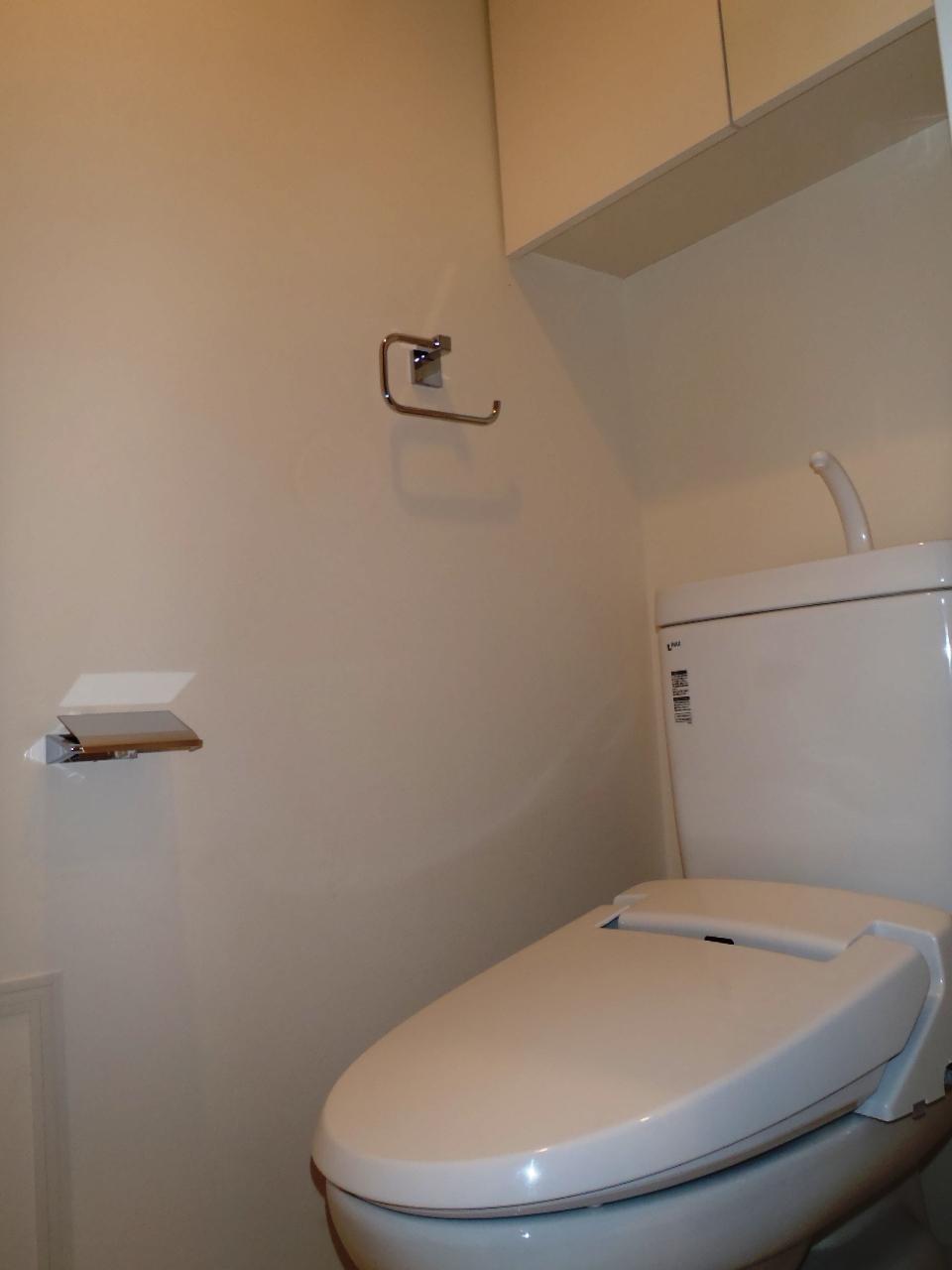 Toilet. Indoor (April 2012) shooting