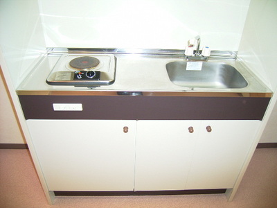 Kitchen. 1-neck electric stove
