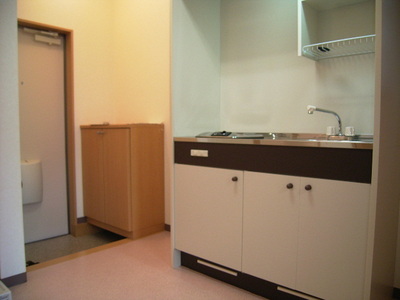 Kitchen. 1-neck electric stove