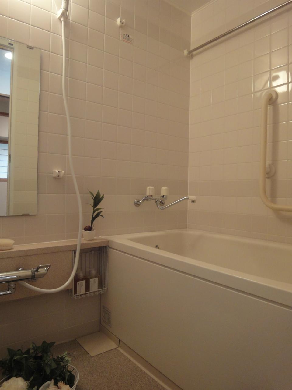Bathroom. Indoor (11 May 2013) Shooting