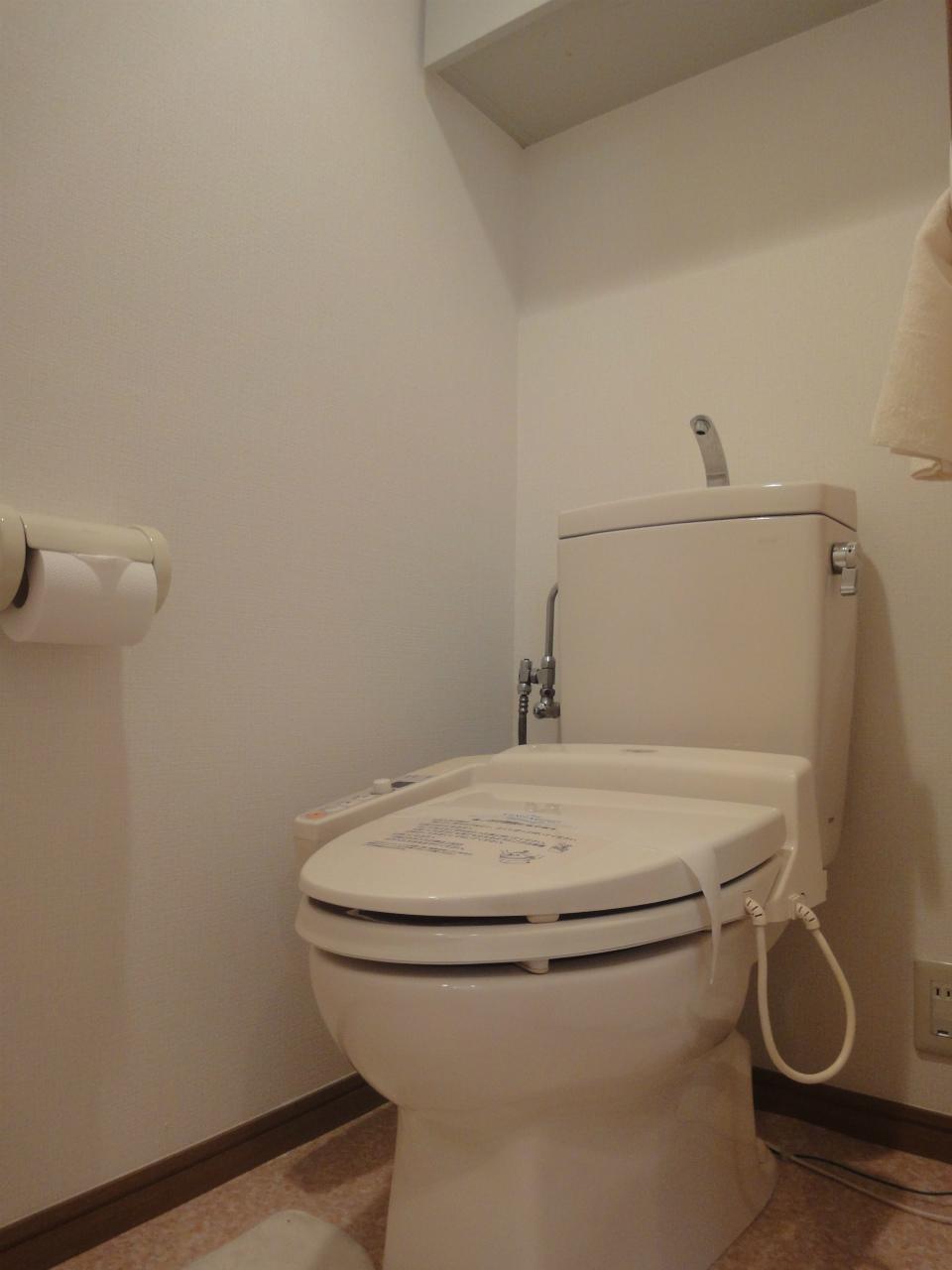 Toilet. Indoor (11 May 2013) Shooting