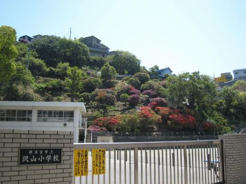 Other. 362m to Yokosuka Tatsusawa Mountain Elementary School (Other)