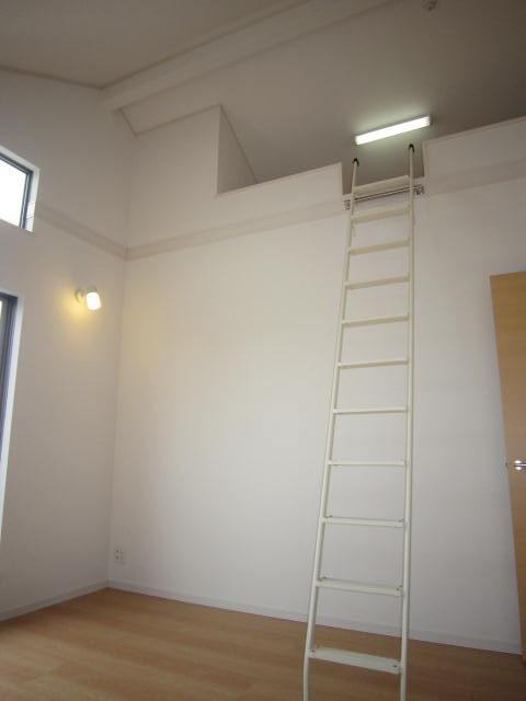 Non-living room. The main bedroom with a second floor gradient ceiling loft