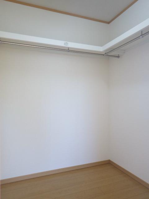 Other. There are two places walk-in closet