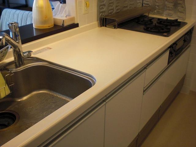Kitchen. Indoor shooting