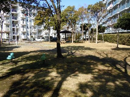 Other common areas. There is a park in the apartment site