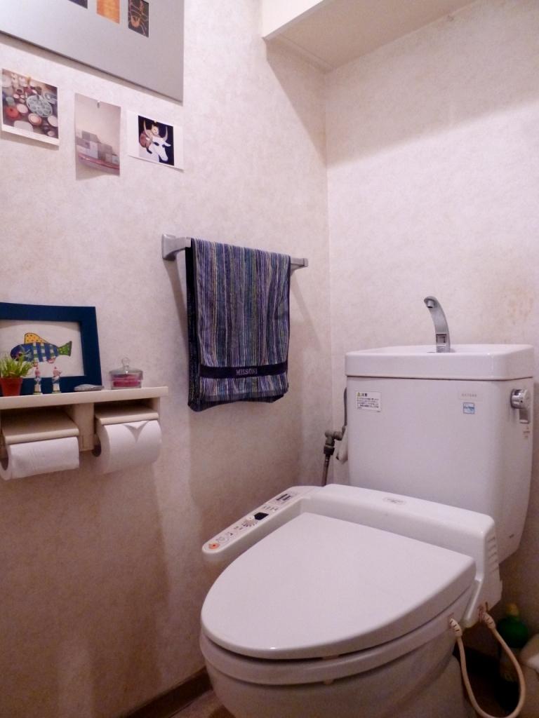 Toilet. Indoor (12 May 2013) Shooting