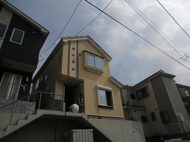 Local appearance photo. Fresh yellow keynote appearance