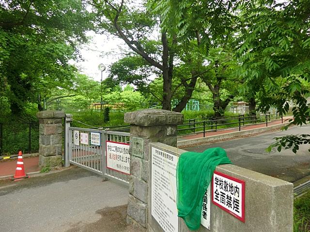 Primary school. Lintel up to elementary school 1060m