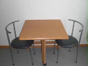 Other. It is foldable table