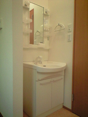 Washroom. Glad shampoo dresser in a busy morning