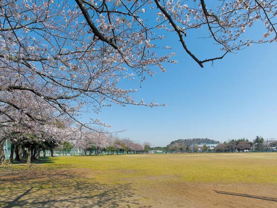 Surrounding environment. Oppama Sports Park (about 1120m ・ 14 mins), including the "Yokosuka Stadium", Tennis court, gymnasium, It is a large sports park with a number of sports facilities such as the heated pool.