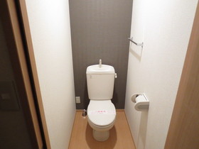 Toilet. toilet, The wall is the accent Cross