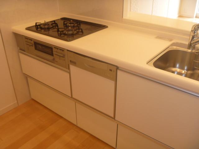 Kitchen. Dishwasher system Kitchen.