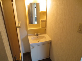 Washroom. Bathroom vanity