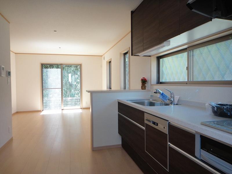 Living. System kitchen. Dishwasher equipment.