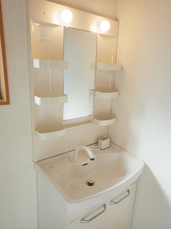 Wash basin, toilet. With a convenient hand shower vanity