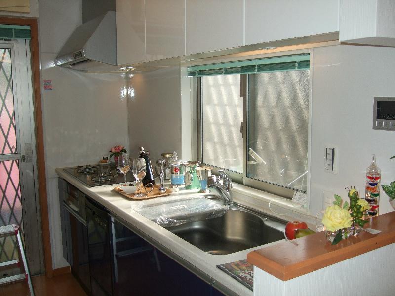 Kitchen. This is a system kitchen with a dishwasher.